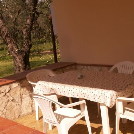 Villa Oleandro Ciccino Vieste Dış mekan fotoğraf