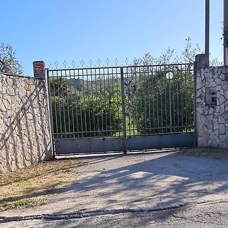 Villa Oleandro Ciccino Vieste Dış mekan fotoğraf